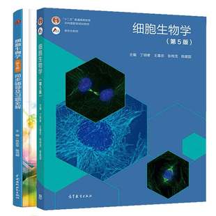 细胞生物学 丁明孝 第5版 第五版 陈洪明 邓宏魁 同步辅导及题全解 王喜忠 苏志平 张传茂 2本图书籍