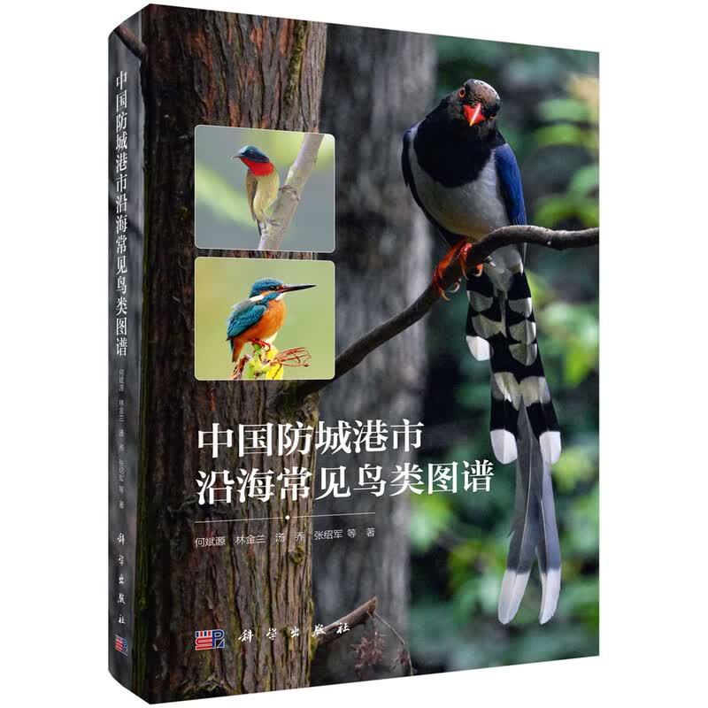 中国城港市沿海常见鸟类图谱 何斌源等 科学出版社9787030857101