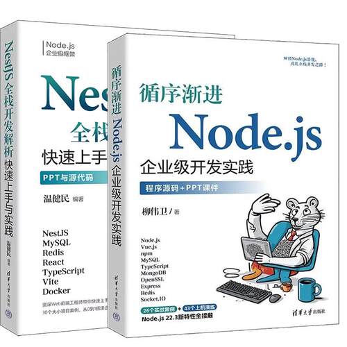 【全2册】循序渐进Node.js企业级开发实践 柳伟卫+NestJS全栈开发解析 快速上手与实践 温健民