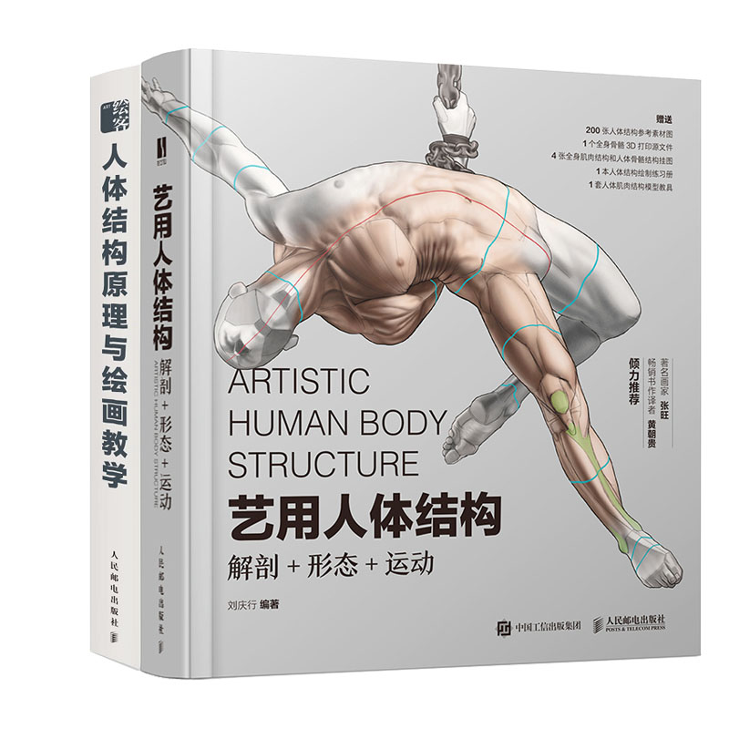 艺用人体结构 解剖形态运动+人体结构原理与绘画教学书籍