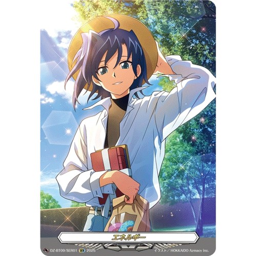 VG SER DZ-BT06/SER01 能量 爱知