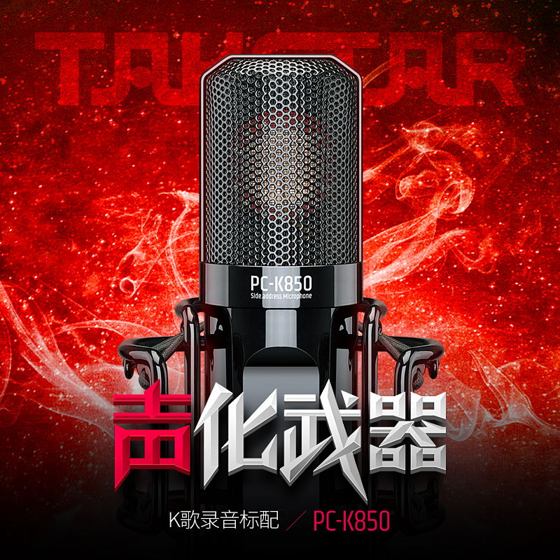 有专业麦克风唱歌Takstar/得胜