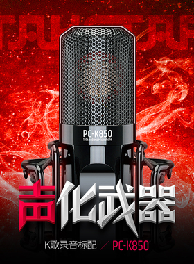 Takstar/得胜 PC-K850 大振膜电容麦克风笔记本台式主播直播声卡