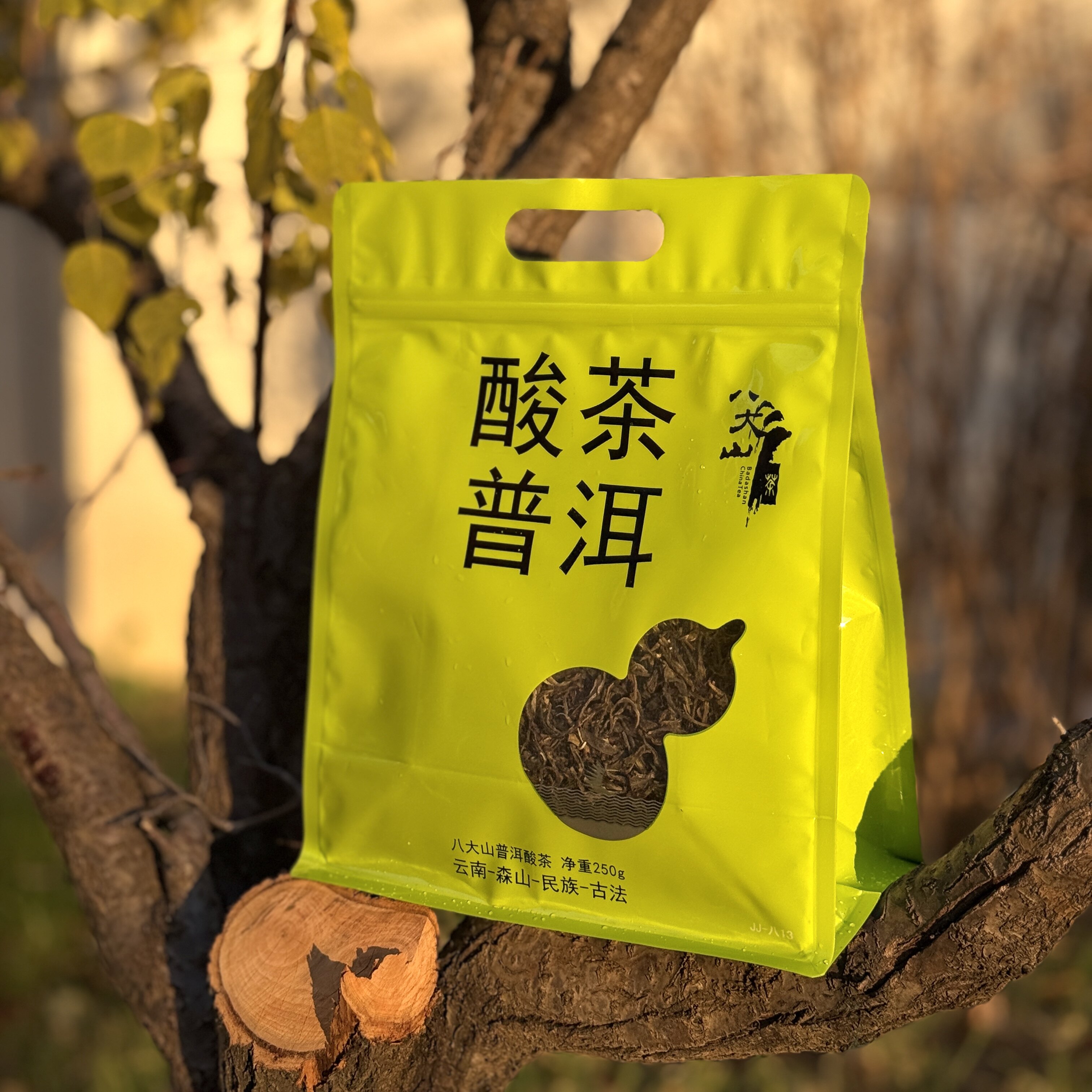 八大山茶酸茶普洱250克