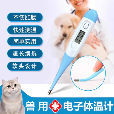 兽用体温计猫咪狗狗温度计