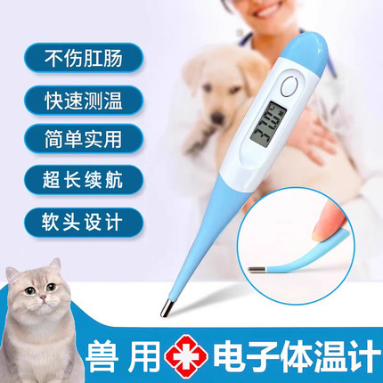 兽用体温计猫咪狗狗温度计兽用肛门电子体温表猫咪小狗感冒测体温