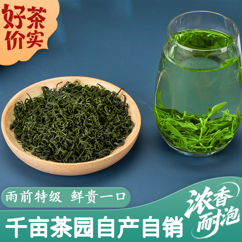 2025雨前新茶绿茶特级浓香型炒青毛尖茶春茶高山云雾茶叶自己喝