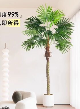 仿真椰子树假树室内绿植客厅装饰摆件大型仿生植物造景棕榈树盆栽