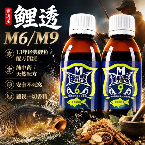 穿透王鲤透M6M9小药黑坑鲤鱼专用