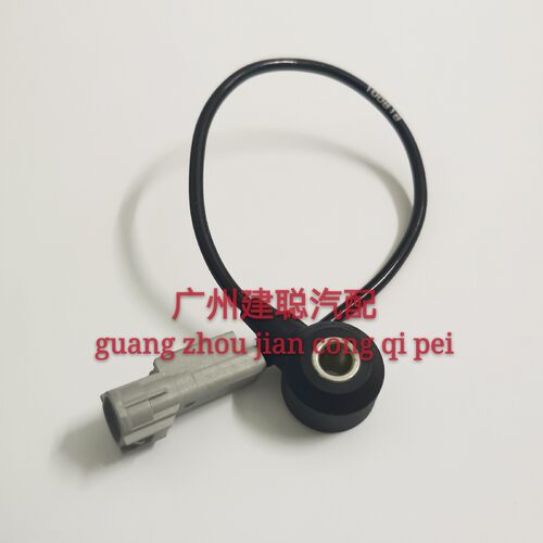 发动机爆震传感器