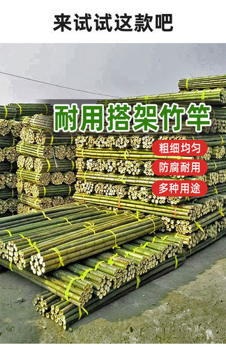 竹竿菜园搭架花园蔬菜架竹杆围栏户外毛竹篱笆防腐耐用彩旗杆竹棍