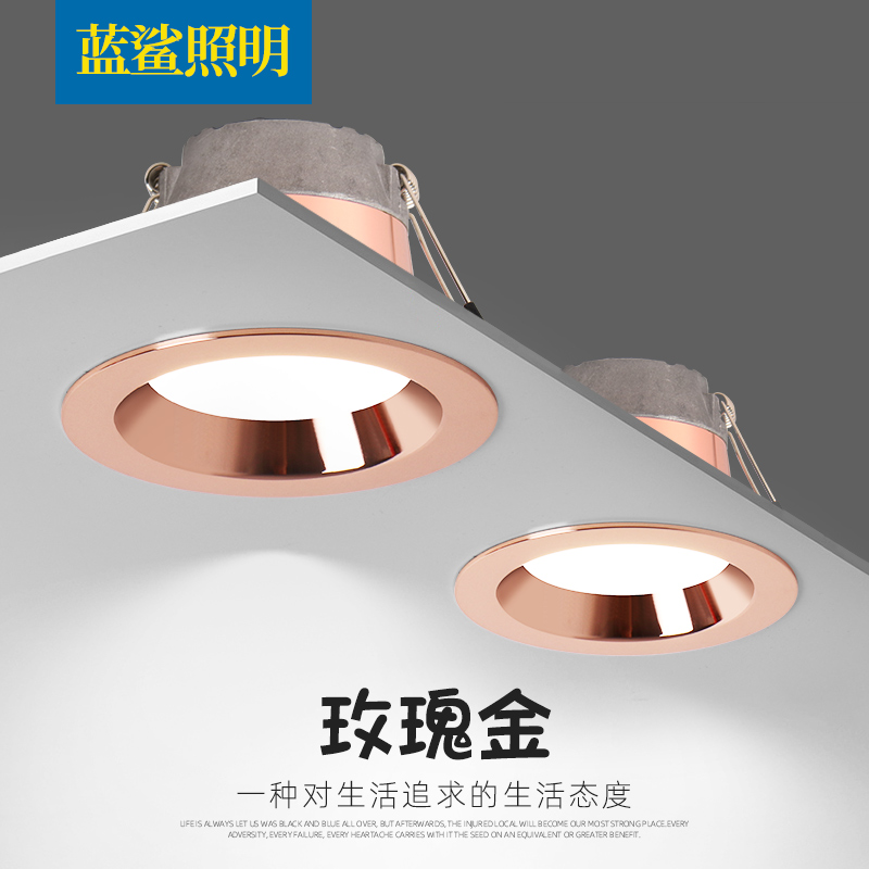 玫瑰金筒灯蓝鲨照明客厅房间