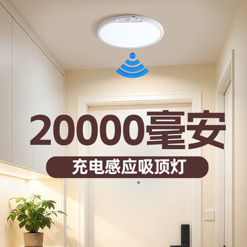 充电感应吸顶灯免布线入户门灯