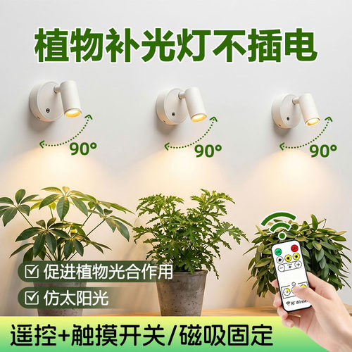 【一万+人种草】充电植物补光灯