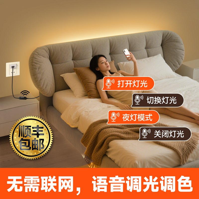 【顺丰包邮】语音智能声控灯带