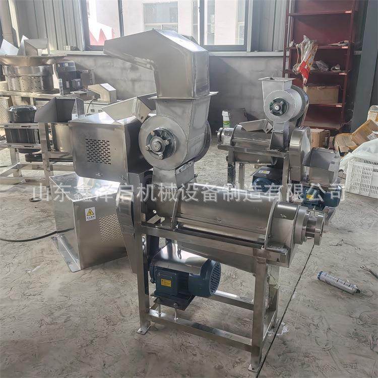 大型红枣去核打浆机多功能不锈钢榨汁机卧式立式中小型打浆机