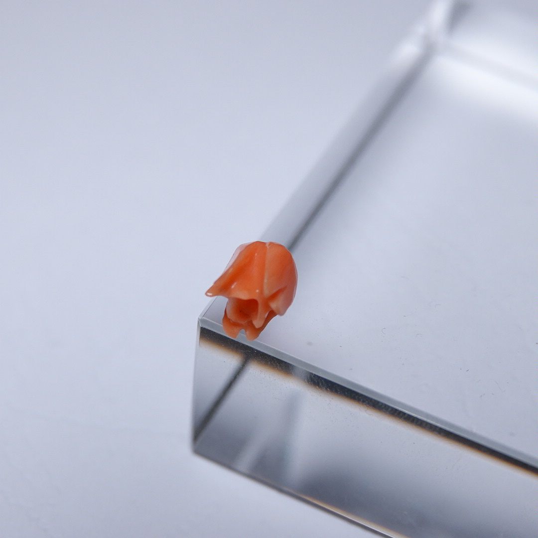 7.5mm*19mm大磨损老骨