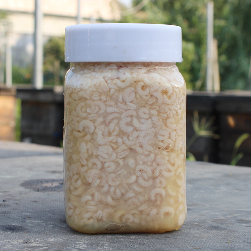 蜂王胎野生天然纯正新鲜蜂王幼虫女性滋补卵巢500g