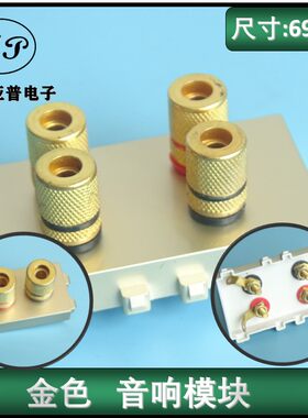 128型金色音响双口四口墙壁面板配件连接器喇叭音频插座设备模块