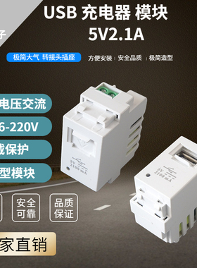 128型USB带门电源模块AC220V插座2.1A5V变压手机充电面板地插通用