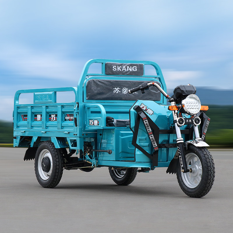电动三轮车家用拉货农用车成人电三轮载重爬山王国标电动车电瓶车