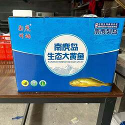 南麂岛深海生态野性新货大黄花鱼新鲜冷冻生鲜活冰鲜半野生小黄鱼