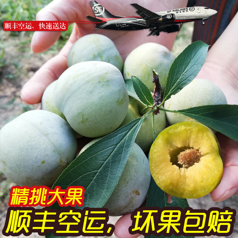 顺丰空运重庆分水青脆李