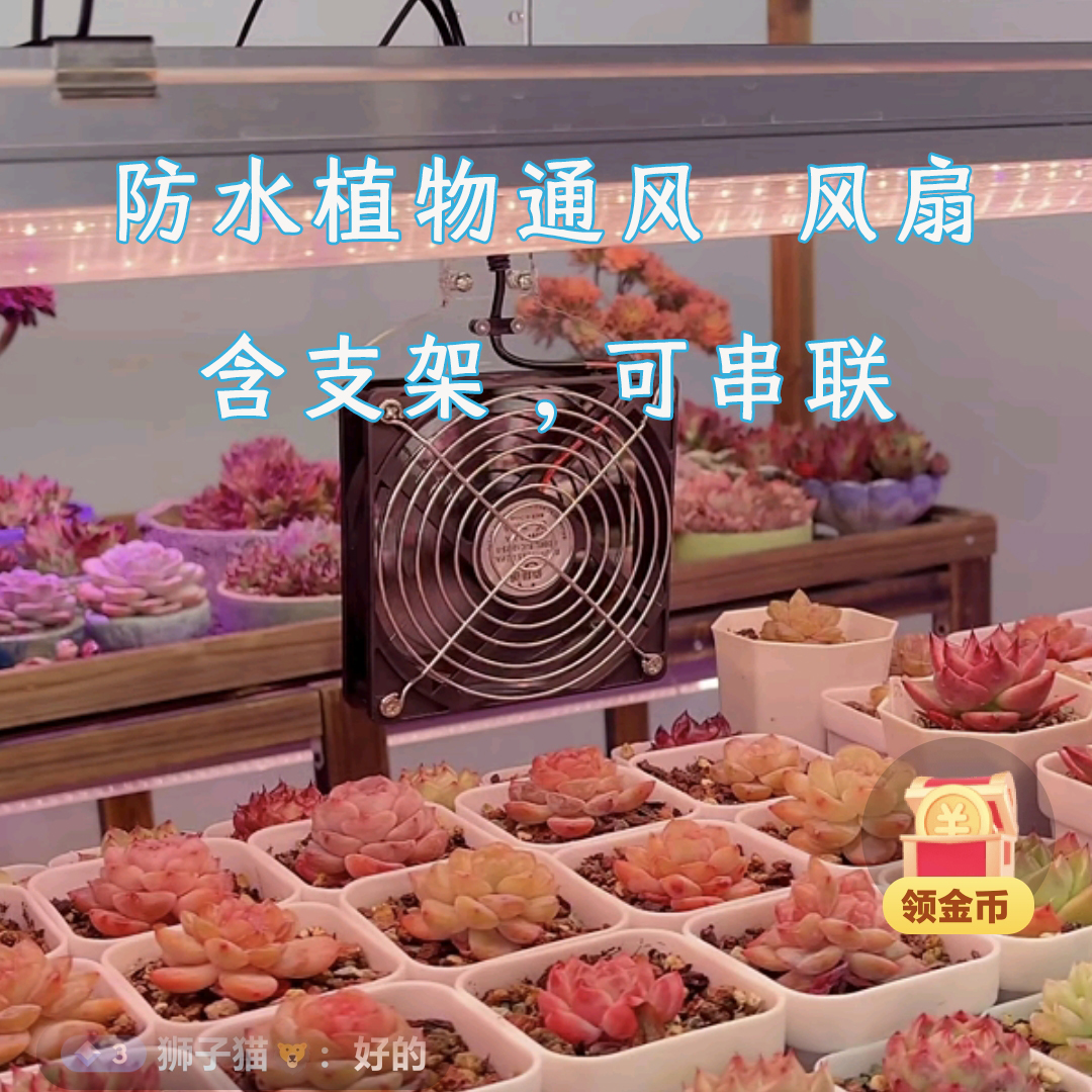 多肉植物降温通风风扇