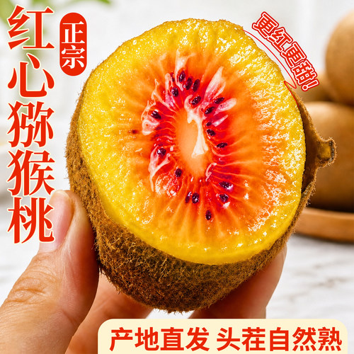 红心猕猴桃！黄金奇异果！