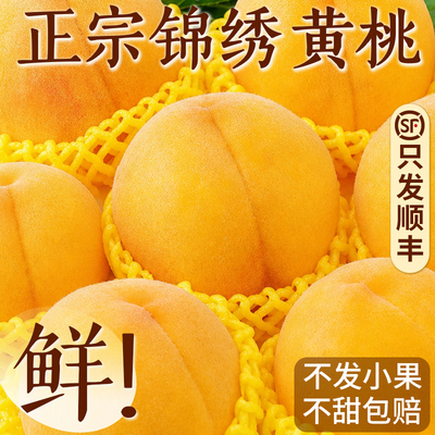 2026当季锦绣黄桃产地直发