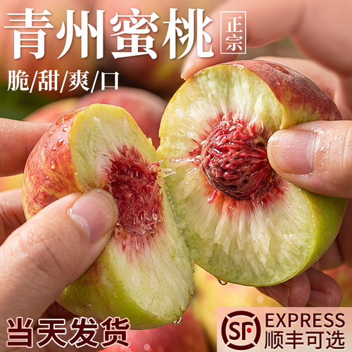 【送货上门】脆甜青州蜜桃！