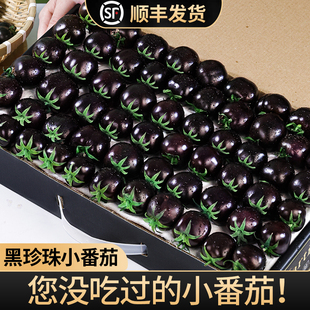 黑珍珠小番茄新鲜即食柿子圣女果5斤紫黑色小番茄 顺丰冷链