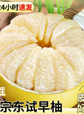 柚子新鲜水果版纳特产丨纯甜无酸