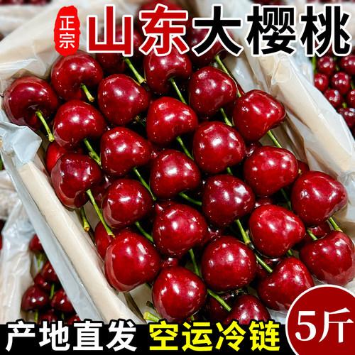 山东烟台大樱桃产地直发