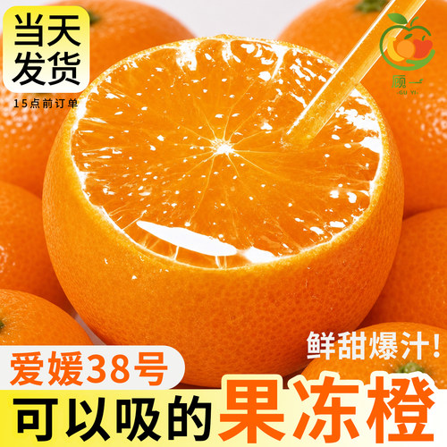 爱媛38号果冻橙26年头茬