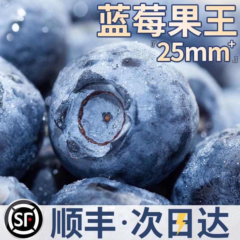 云南蓝莓高山花香新鲜水果当季现摘孕妇甜大盒蓝梅顺丰包邮,水产肉类/新鲜蔬果/熟食,蓝莓,淘宝优惠券,粉丝福利购,淘宝优惠卷