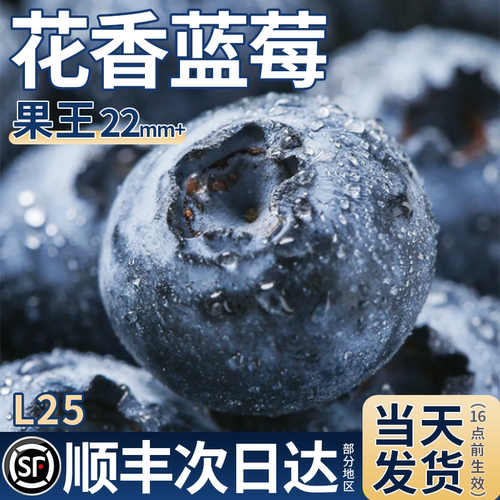 甜！山东花香蓝莓脆甜顺丰包邮
