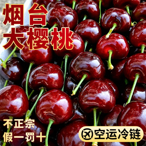 空运秒发｜山东烟台大樱桃