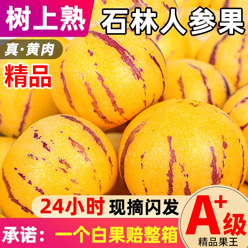 石林人参果【一个白果赔一箱】