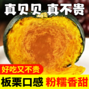 新鲜真贝贝南瓜板栗小南瓜面日本老瓜粉面软糯香甜宝宝辅食旗舰店