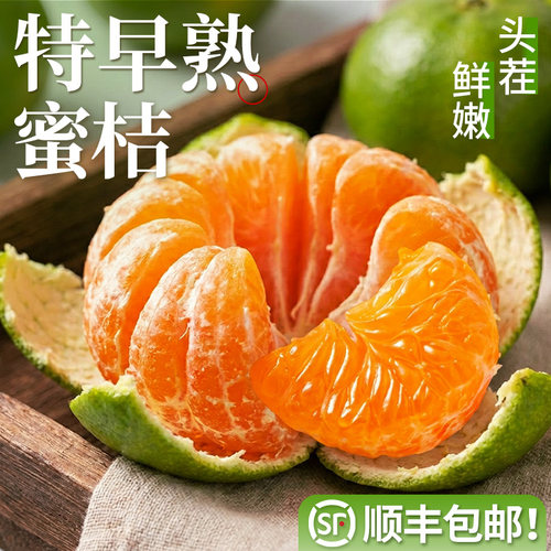 特早熟蜜橘！2026年新果！