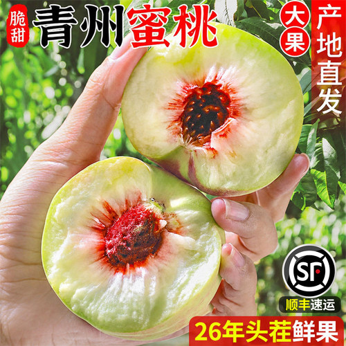 【潍坊直发】脆甜青州蜜桃！