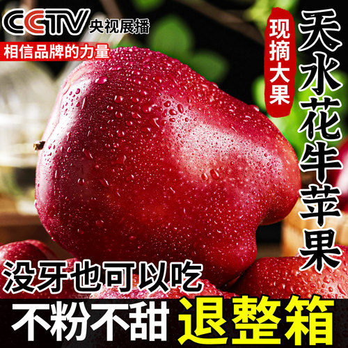10斤天水花牛苹果不粉面退整箱！