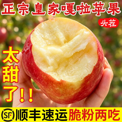 26头茬正宗山东嘎啦苹果产地直发
