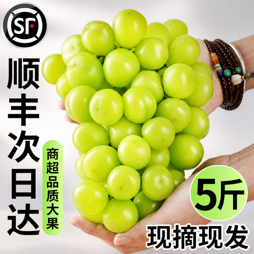 特级！阳光玫瑰葡萄，整串大颗粒