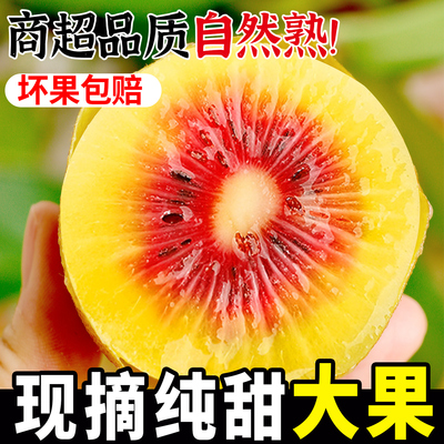 红心猕猴桃！黄金奇异果！