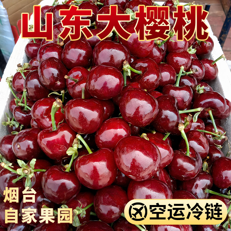 山东烟台大樱桃国产车厘子新鲜水果当季大樱桃脆甜礼盒装空运冷链