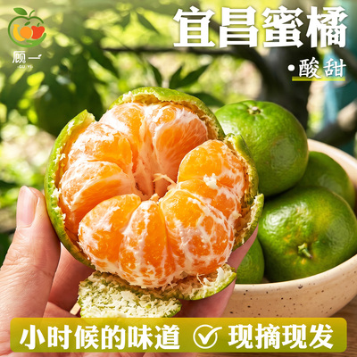宜昌无籽蜜橘！2026年新果！