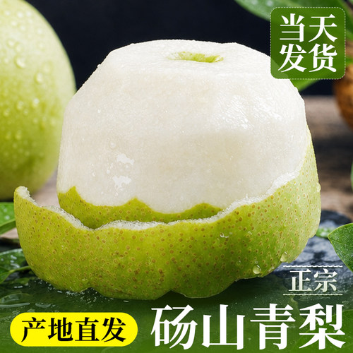 正宗砀山青梨现货产地直发