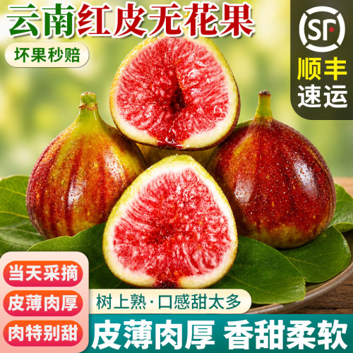 【顺丰秒发】新鲜无花果鲜果